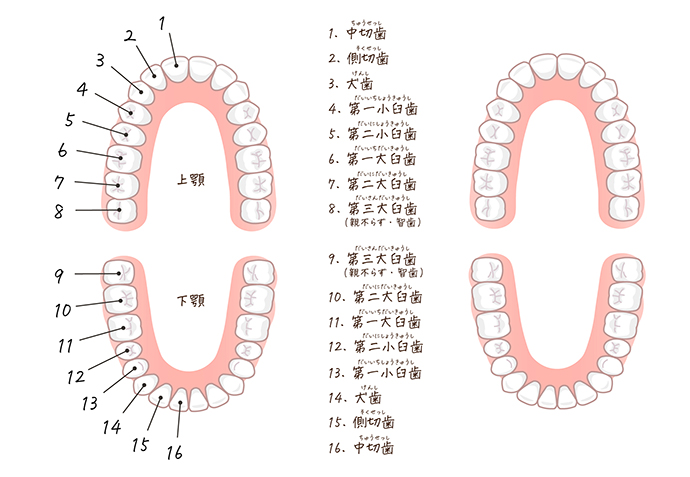 ブリッジ治療に関するお問い合わせ