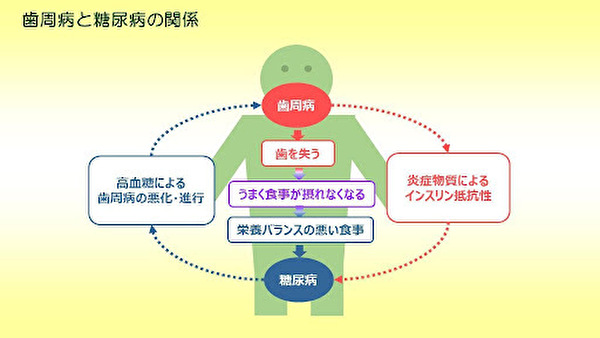 港南台パーク歯科クリニック｜歯周病と身体の切っても切れない関係～糖尿病について解説～｜歯周病と糖尿病の関係