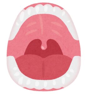 口腔内イラスト｜口が乾いて困っていることはありませんか？｜港南台の歯医者 港南台パーク歯科クリニック